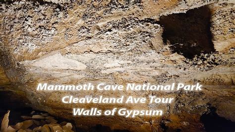 Mammoth Cave National Park Cleaveland Ave Tour Vlog Walls Of