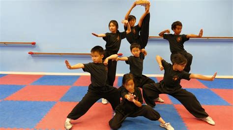 Kung Fu For Kids Fighting Report