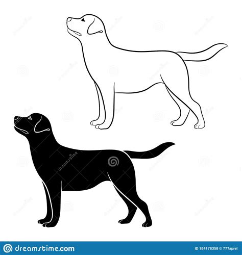 Labrador Retriever Outline