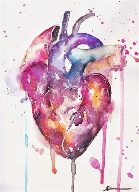 Bildergebnis Für Human Heart Aquarelle Anatomy Art Watercolor Heart