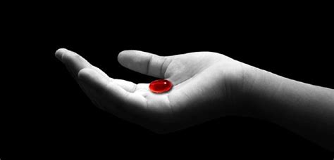 Red Pill Understanding The Red Pill Ideology And Movement Among Men