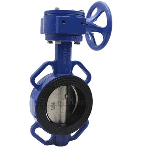 Worm Gear Operated Butterfly Valve
