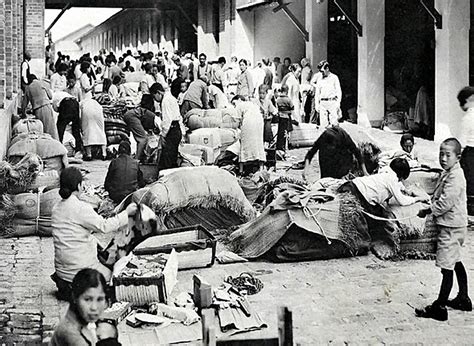 Cultura Dos Imigrantes No Brasil