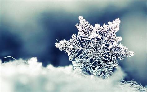 A 10 Legszebb Téli Háttérkép Snowflake Wallpaper Winter Photography