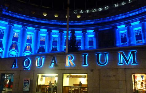 Lacquario Di Londra Visitare Il Sea Life London Aquarium Itlondra