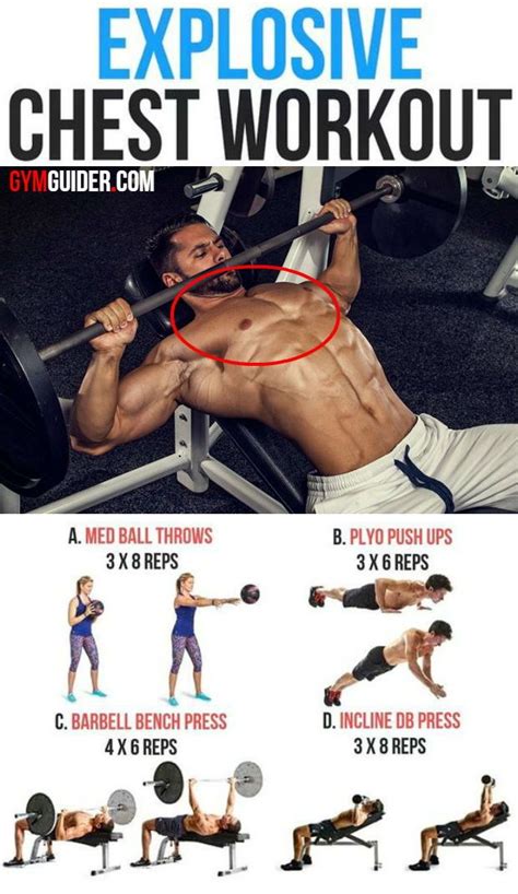 10 Best Chest Exercises For Building Muscle