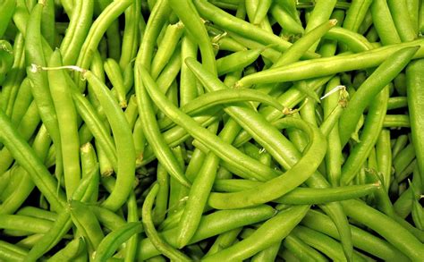 A Look At Fall Beans For Your Garden Wrkf