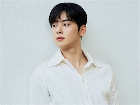 Mengenal Lebih Jauh Cha Eun Woo Pemeran Lee Su Ho Di Drama True Photos