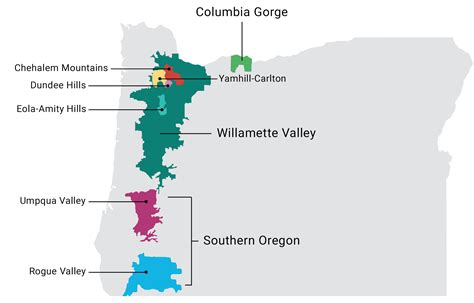 Everything You Need To Know About Oregon Wines Total Wine And More