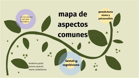 Mapa De Aspectos Comunes By Maria C Castellanos