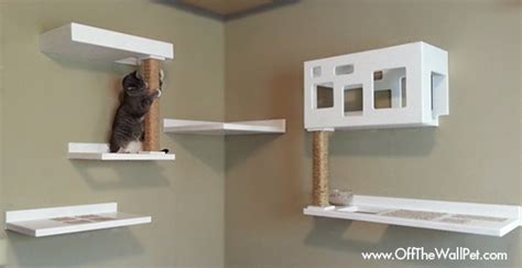 More importantly, cat wall climbing shelves allow your cats to explore and lounge up high, which cats love. New Posh Cat Climbing Furniture from Off The Wall Pet ...