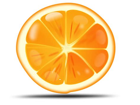 Orange Png Image Free Download