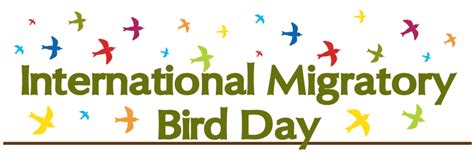International Migratory Bird Day Barnegat Bay Partnership