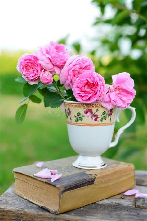 Rose Bouquet And Cup Of Tea Stock Image Image Of Dessert Pink 19045365