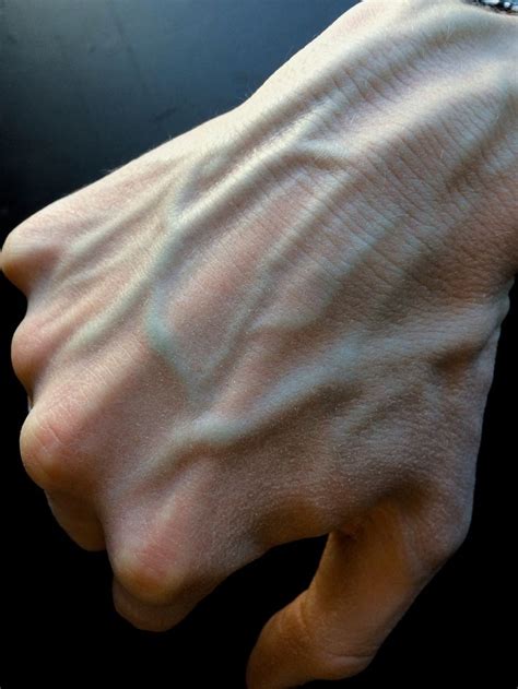 VEINY HAND Hand Veins Human Body Pretty Hands