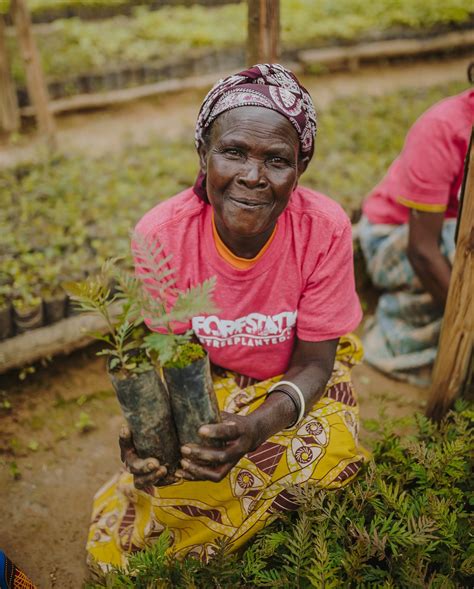 One Tree Planted X Nvo Goes Green Reforestation Partner