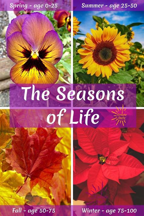 Seasons Of Life Metaphor For Life And Business Icreatedaily