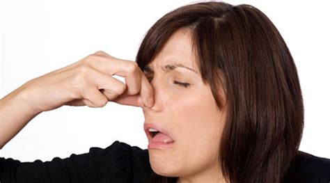 How To Get Rid Of A Musty Smell In The House