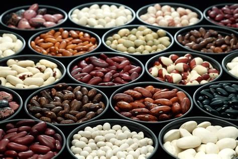 12 Different Types Of Beans And Legumes Protein Up Without Meat 2023