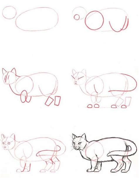 Como Dibujar Un Gato Paso A Paso Realista Como Hacer Un Dibujo De