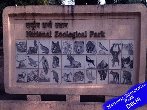 National Zoological Park In Delhi Best Place To Visit In Delhi