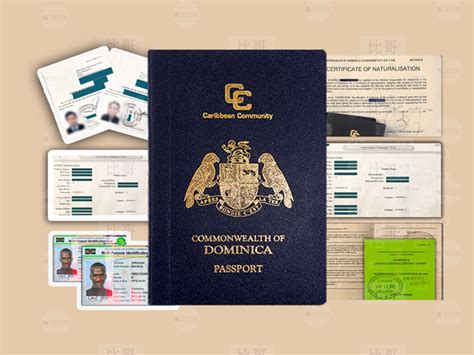 Citizenship Of Dominica By Investment Required Documents International Wealth