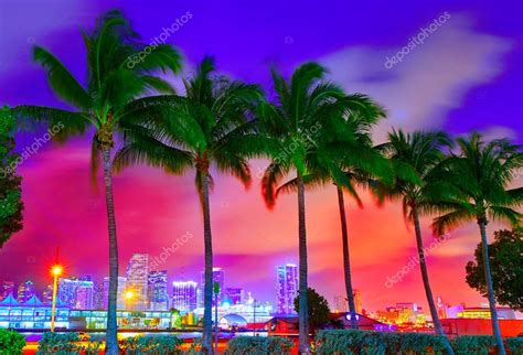 Miami Skyline Sunset With Palm Trees Florida Stock Photo By ©lunamarina