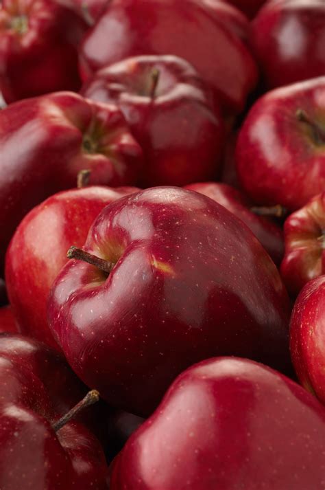 Red Delicious Apple Varieties Red Delicious Apples Apple