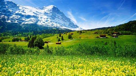 Swiss Alps Spring Wallpapers Wallpaper Cave