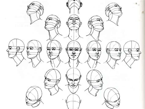 Sphere Form Of The Human Head At Various Angles