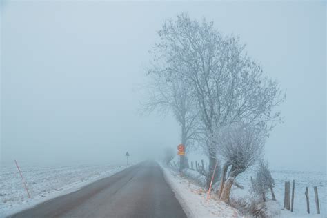 Wallpaper Snow Road Cold Morning Mist Frost Rime Freezing