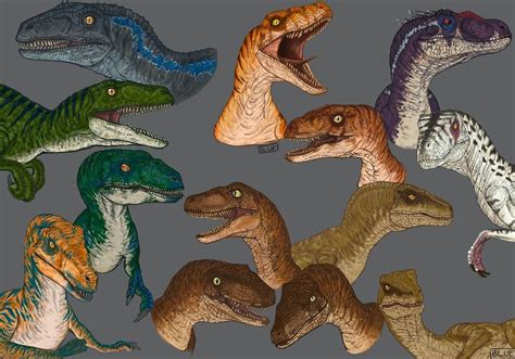 Jurassic Park Velociraptors Jurassic Park Know Your Meme