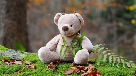 Teddy Bear Wallpapers Hd Wallpaper Collections 4kwallpaperwiki