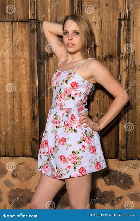 Blonde In A Summer Dress Stock Image Image Of Beautiful 90581909