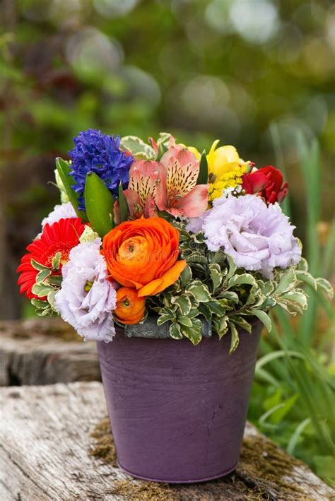 Colorful Spring Flower Bouquet Stock Image Image Of Beautiful Space