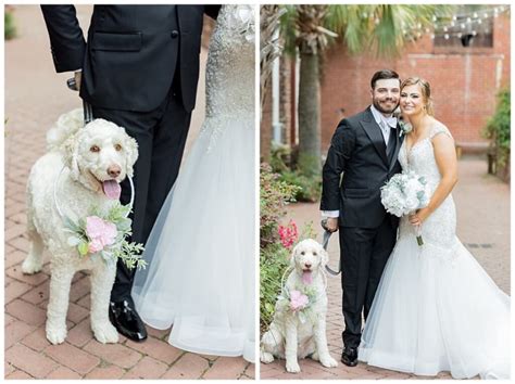How To Incorporate Your Dog In Your Wedding Photos