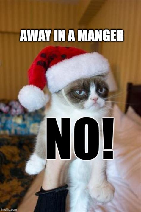 Grumpy Cat Christmas Meme Imgflip