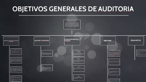 Objetivos Generales De Auditoria By Marco Mazariegos On Prezi