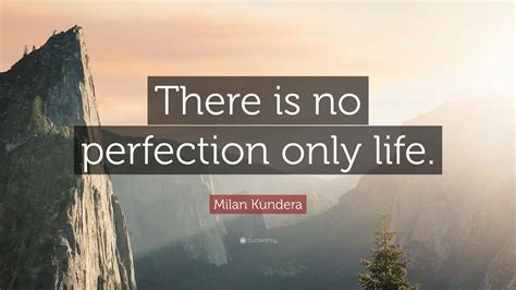 Perfection Quotes 40 Wallpapers Quotefancy