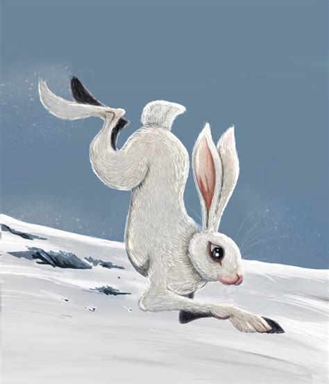 A Pinch Of Salter Sno Bunny Like Snow Bunny
