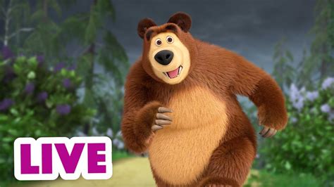 🔴 Ao Vivo 👱♀️🐻 Masha E O Urso 🏃🐻 Vai Urso Vai 🐻🏃 Masha And The Bear Youtube