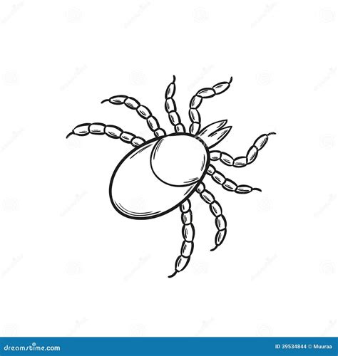 Sketch Of The Tick Stock Vector Illustration Of Lyme 39534844