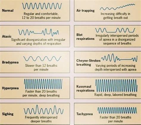 Respiratory Patterns The Resuscitationist Resuscitationst Diagnosis