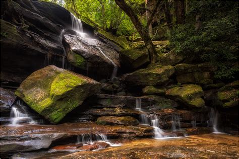 Wallpaper Trees Landscape Forest Waterfall Rock Nature Park