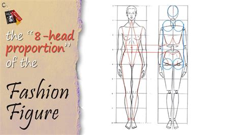 Fashion Illustration 8등신 Figure 그리기 Tips The 8 Head Proportion Of The