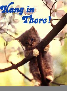 Cat trees offer several great benefits, including stress relief, exercise, and entertainment. Hang In There Kitty Clipart | Free Images at Clker.com ...