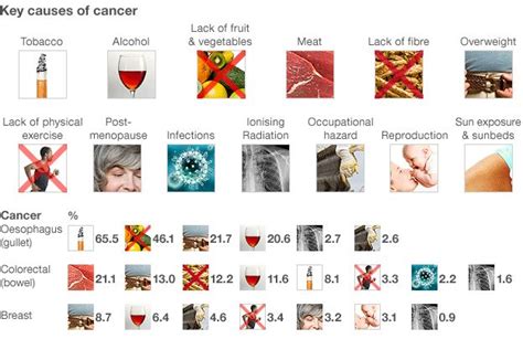 Over 40 Of Cancers Due To Lifestyle Says Review Bbc News