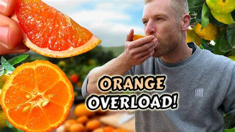 7 Uncommon Citrus Fruits Youve Got To Try Mango Orange Rangpur Lime