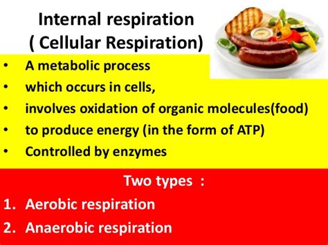 Carbohydrates play several roles in living organisms, including providing energy. BIOLOGY FORM 4 CHAPTER 7 - RESPIRATION PART 1