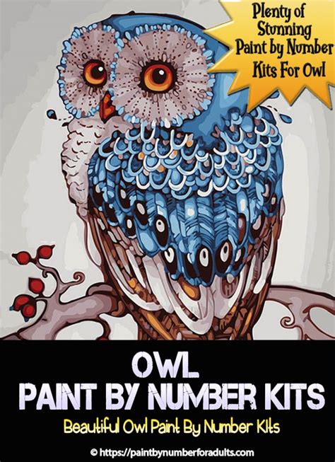 Paint By Number Kits Of Owls Paint By Number For Adults